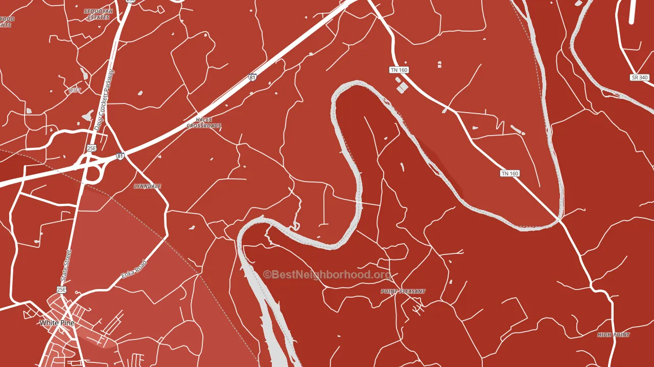 Point Pleasant, TN block-group political-lean map