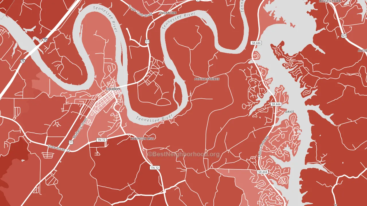Poplar Springs, TN block-group political-lean map