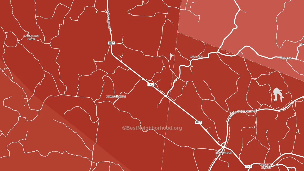 Primm Springs, TN block-group political-lean map