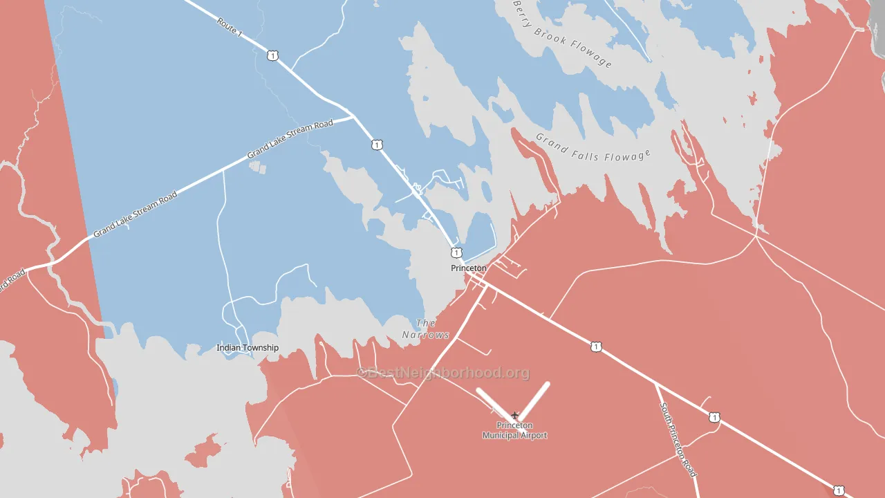 Princeton, ME block-group political-lean map
