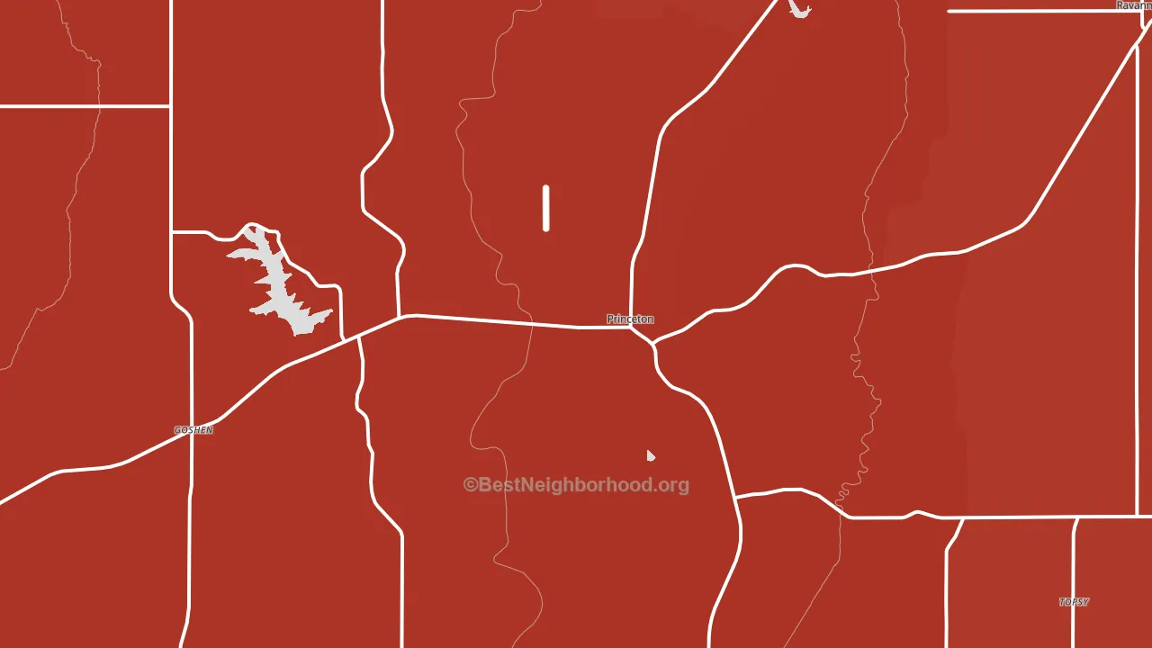 Princeton, MO block-group political-lean map