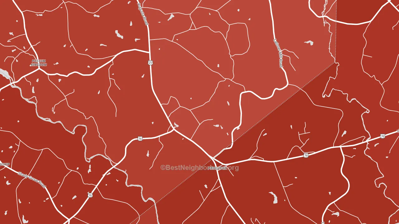 Princeton, SC block-group political-lean map