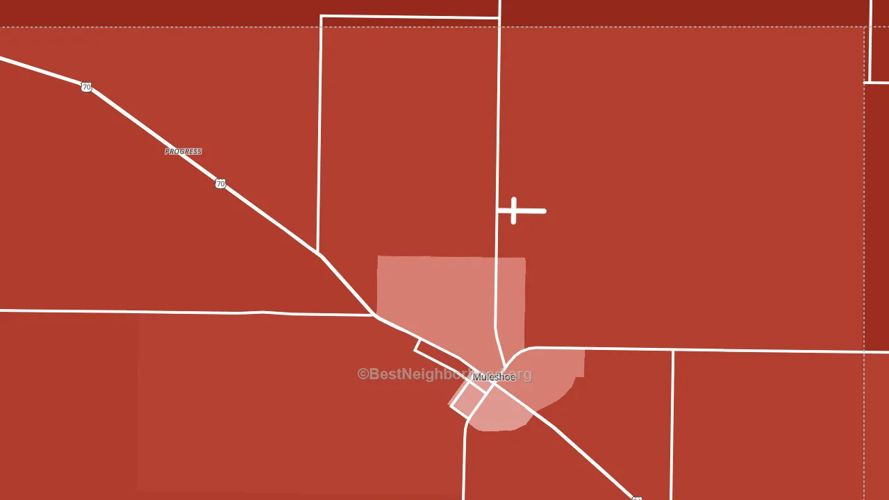 Progress, TX block-group political-lean map