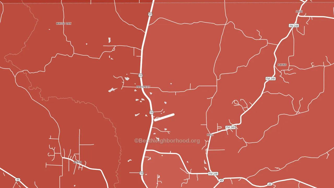Prospect, TX block-group political-lean map