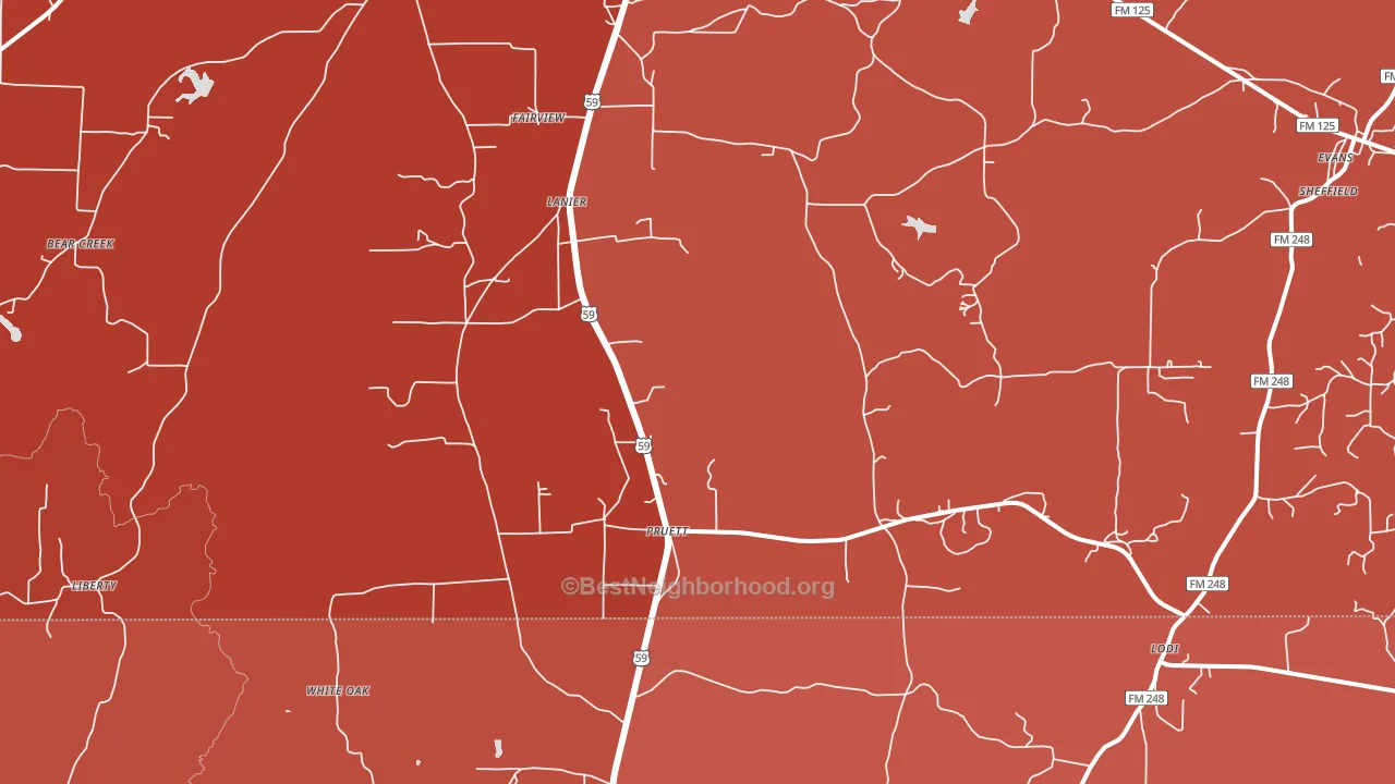 Pruett, TX block-group political-lean map