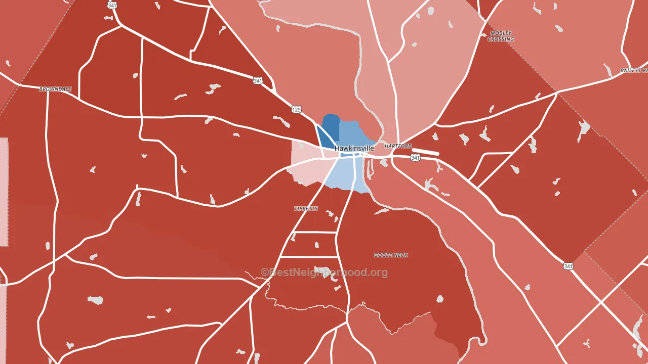 Pulaski County, GA block-group political-lean map