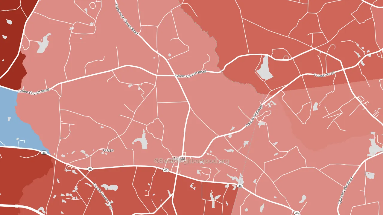 Pulaski, GA block-group political-lean map