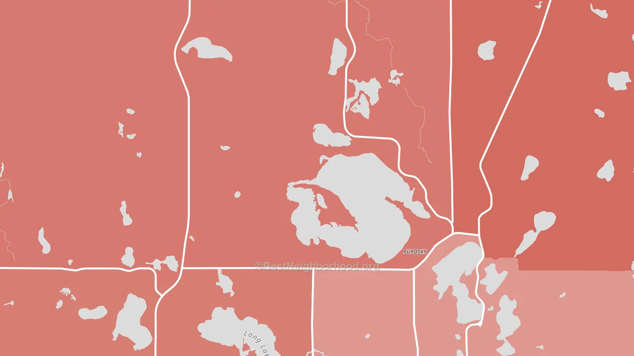 Puposky, MN block-group political-lean map
