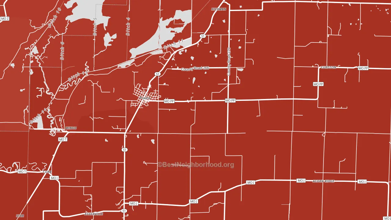 Puxico, MO block-group political-lean map