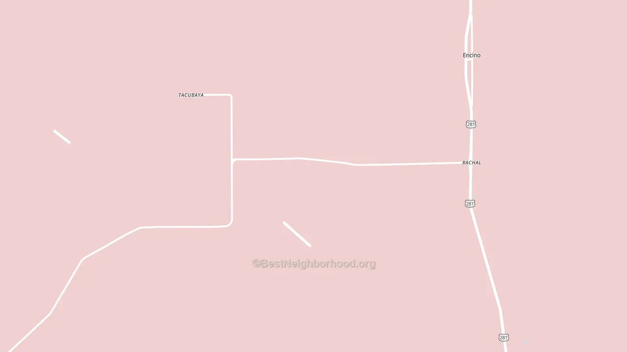 Rachal, TX block-group political-lean map