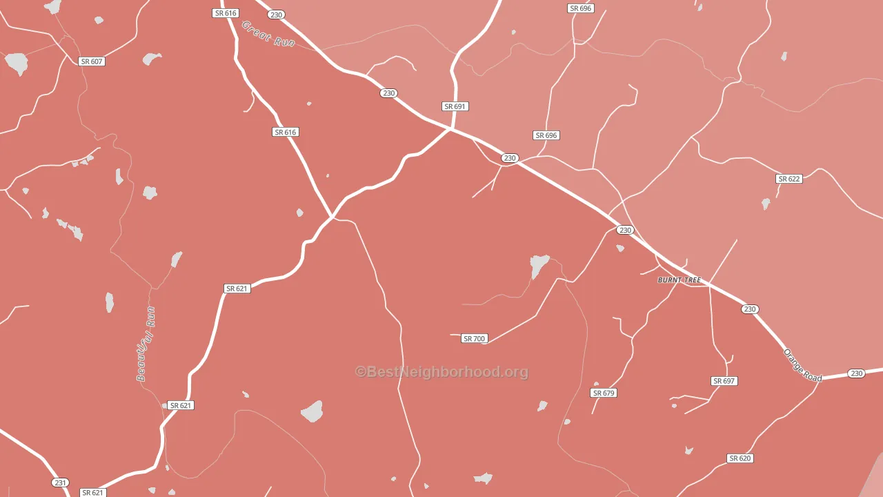 Radiant, VA block-group political-lean map