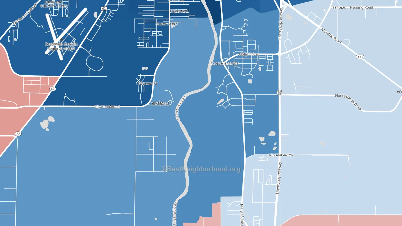 Radium Springs, GA block-group political-lean map