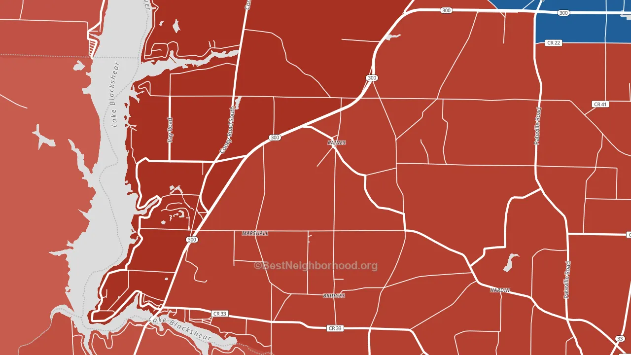 Raines, GA block-group political-lean map