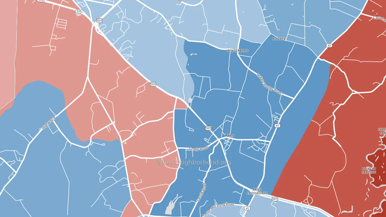 Rains, SC block-group political-lean map