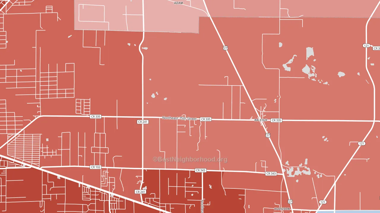 Raleigh, FL block-group political-lean map