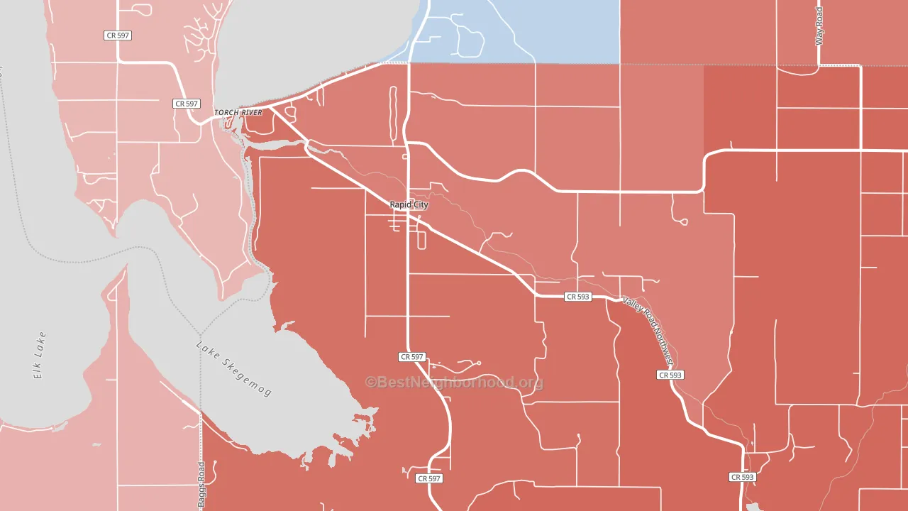 Rapid City, MI block-group political-lean map