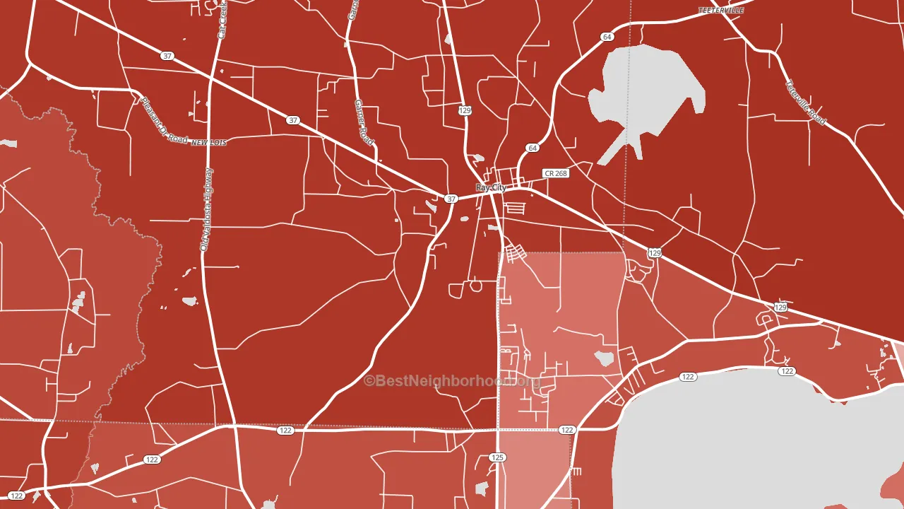Ray City, GA block-group political-lean map