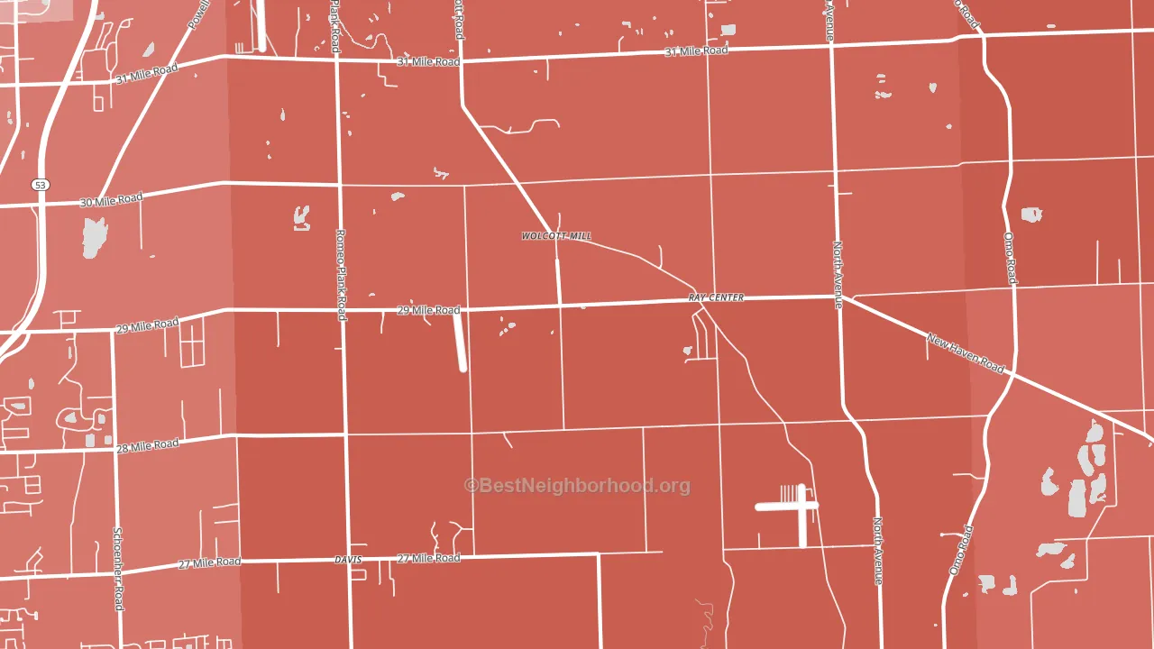 Ray, MI block-group political-lean map