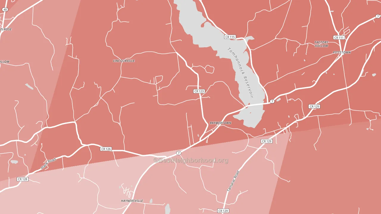 Raymertown, NY block-group political-lean map
