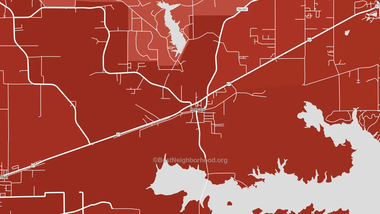 Redwater, TX block-group political-lean map