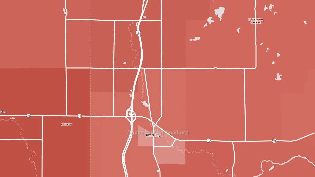 Reed City, MI block-group political-lean map