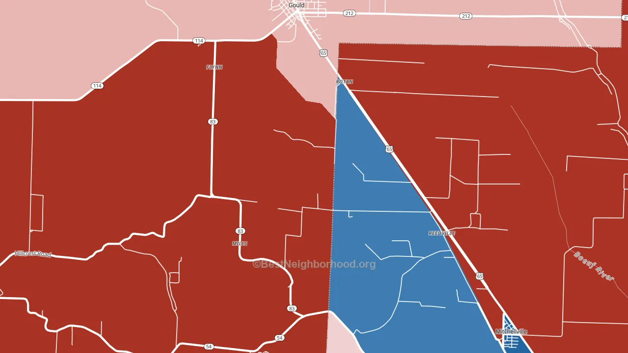Reedville, AR block-group political-lean map