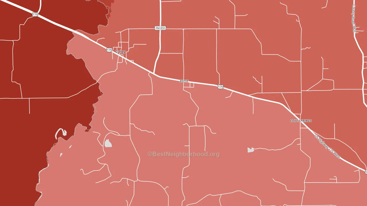 Reese, TX block-group political-lean map