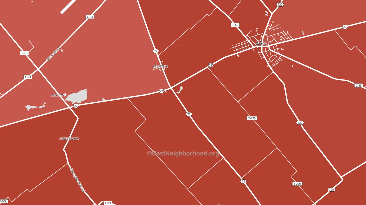 Reesville, OH block-group political-lean map