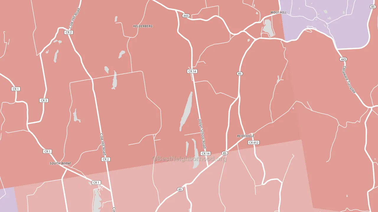 Reidsville, NY block-group political-lean map