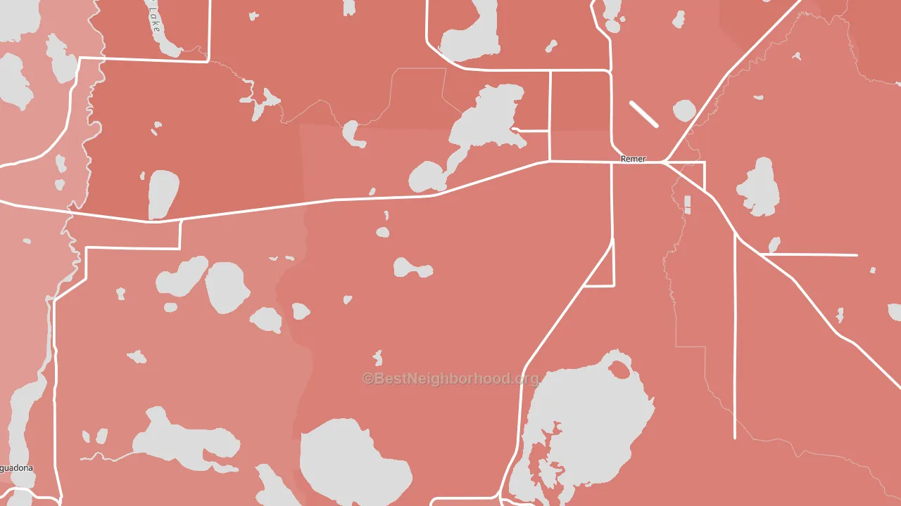 Remer, MN block-group political-lean map