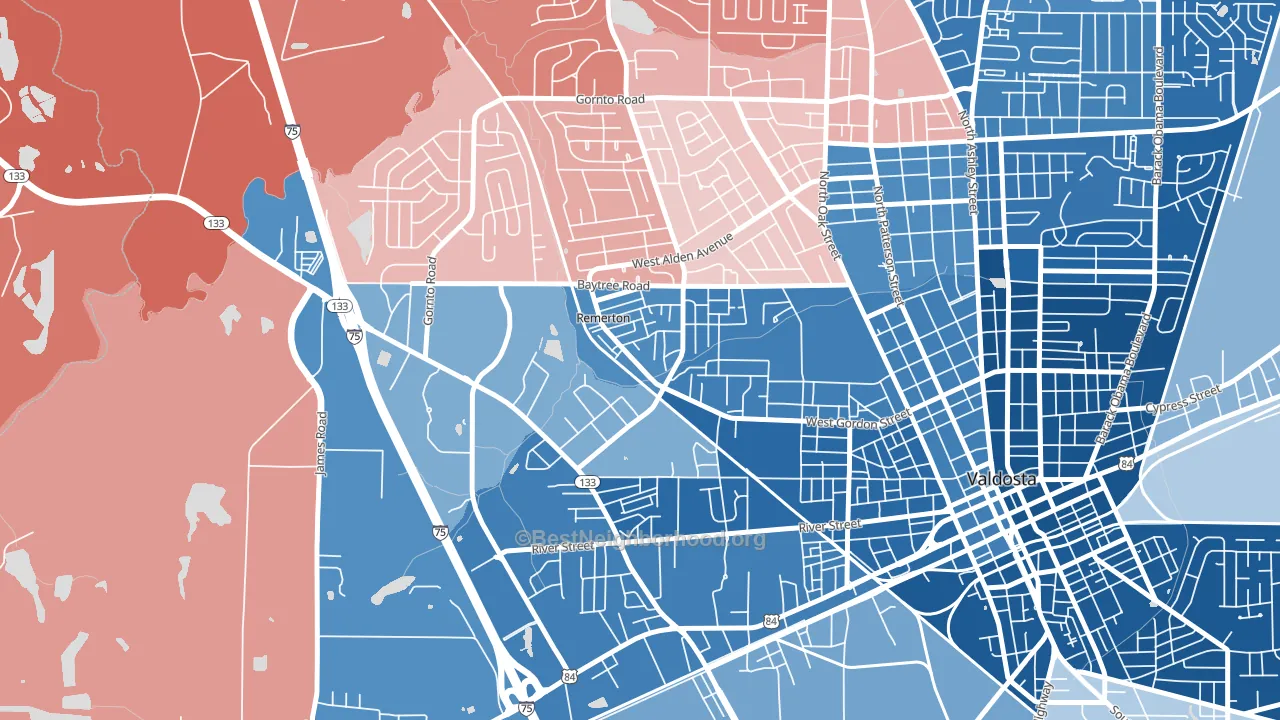 Remerton, GA block-group political-lean map