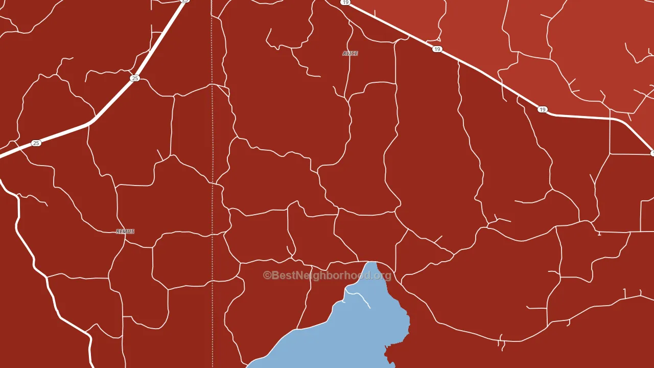 Remus, MS block-group political-lean map