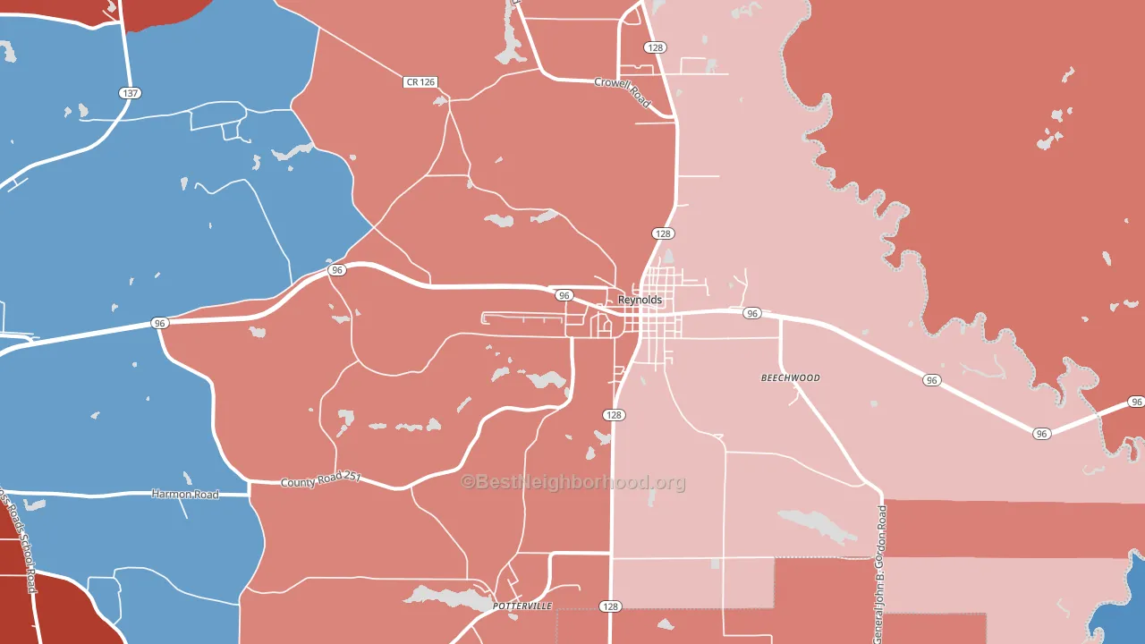 Reynolds, GA block-group political-lean map