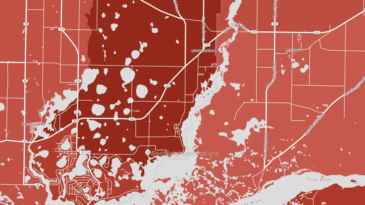 Reynoldsville, GA block-group political-lean map