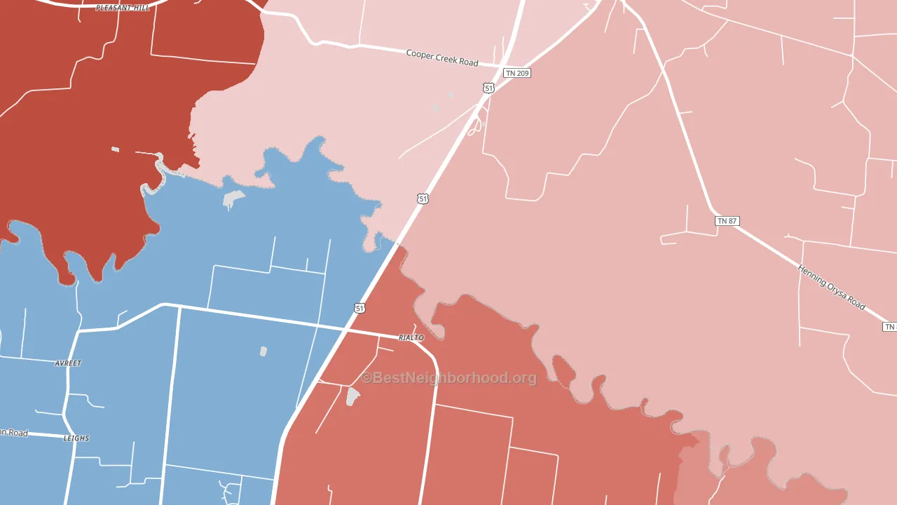 Rialto, TN block-group political-lean map