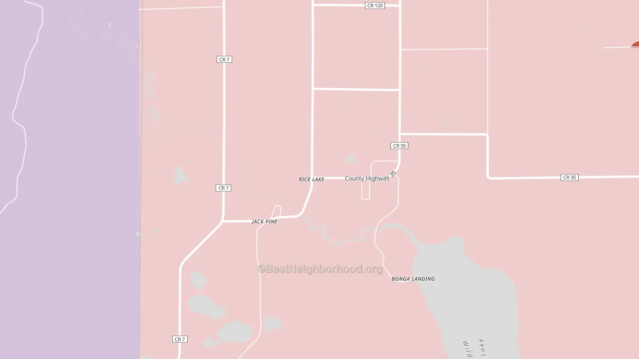 Rice Lake, MN block-group political-lean map
