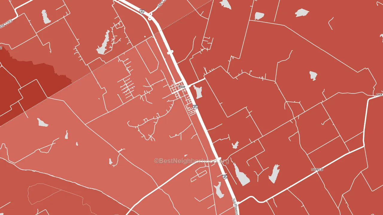 Rice, TX block-group political-lean map
