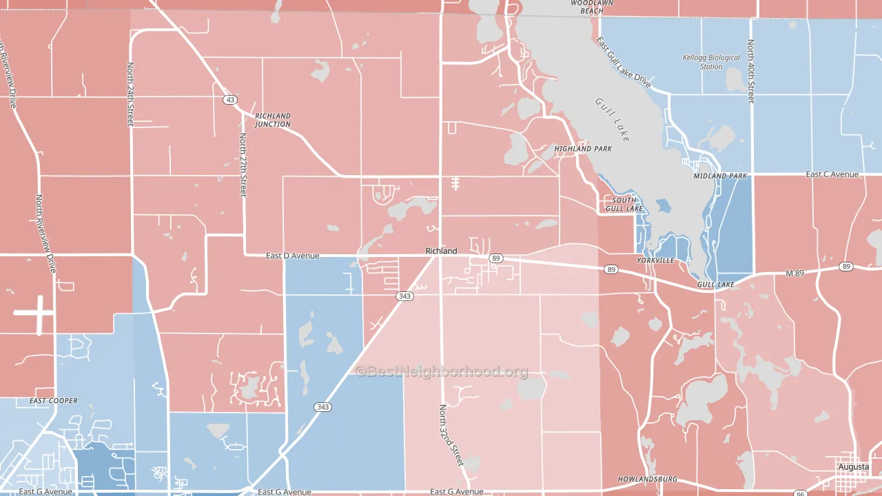 Richland, MI block-group political-lean map