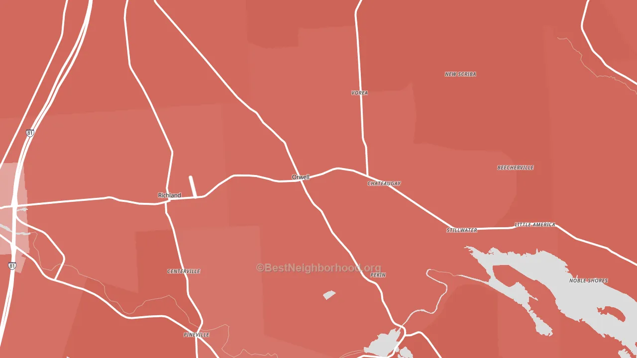 Richland, NY block-group political-lean map