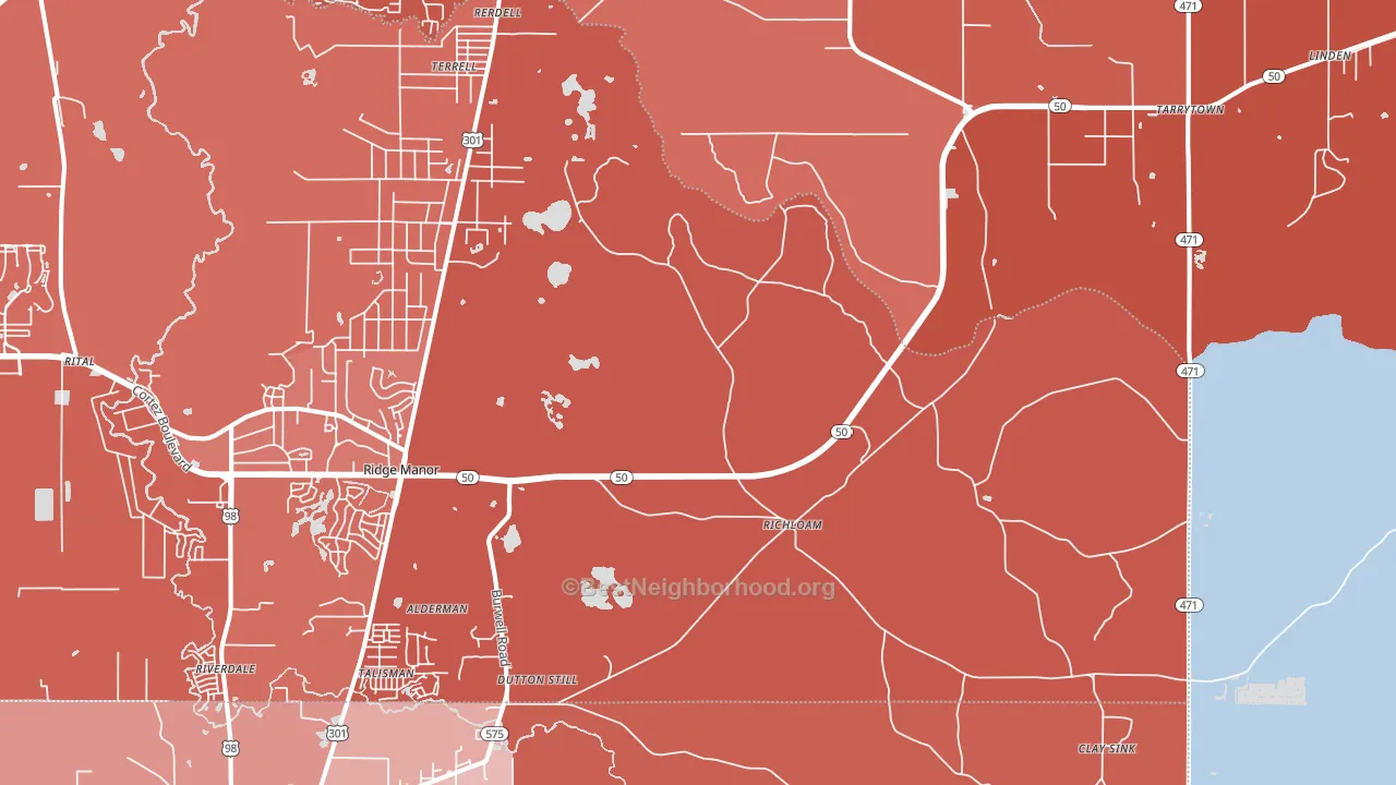 Richloam, FL block-group political-lean map