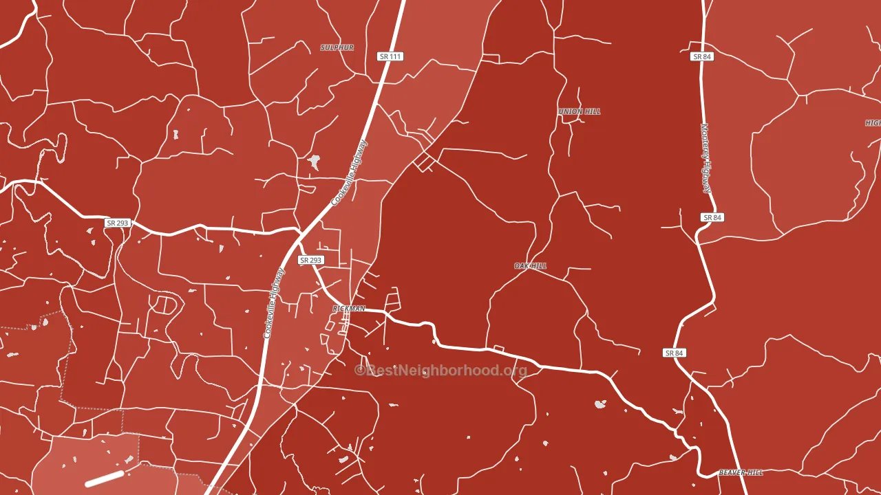 Rickman, TN block-group political-lean map