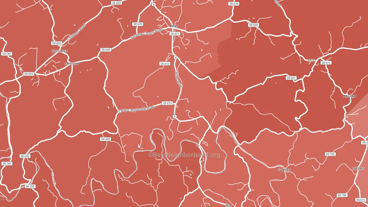 Riner, VA block-group political-lean map