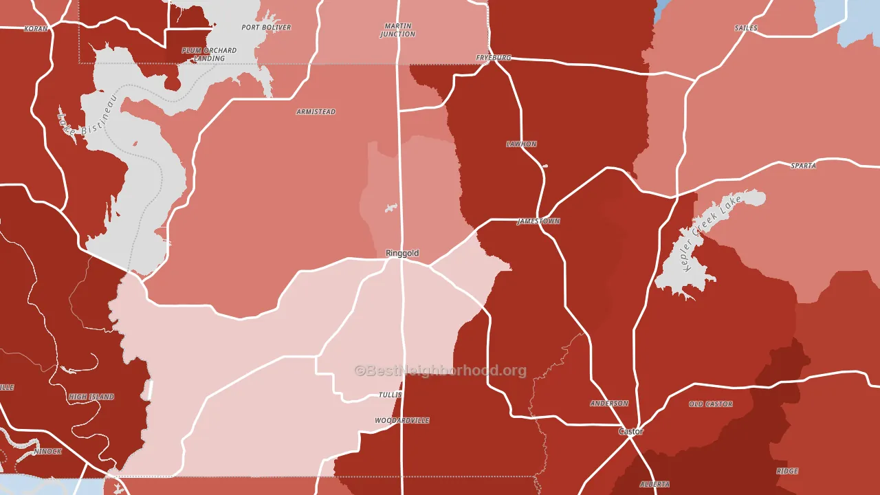 Ringgold, LA block-group political-lean map