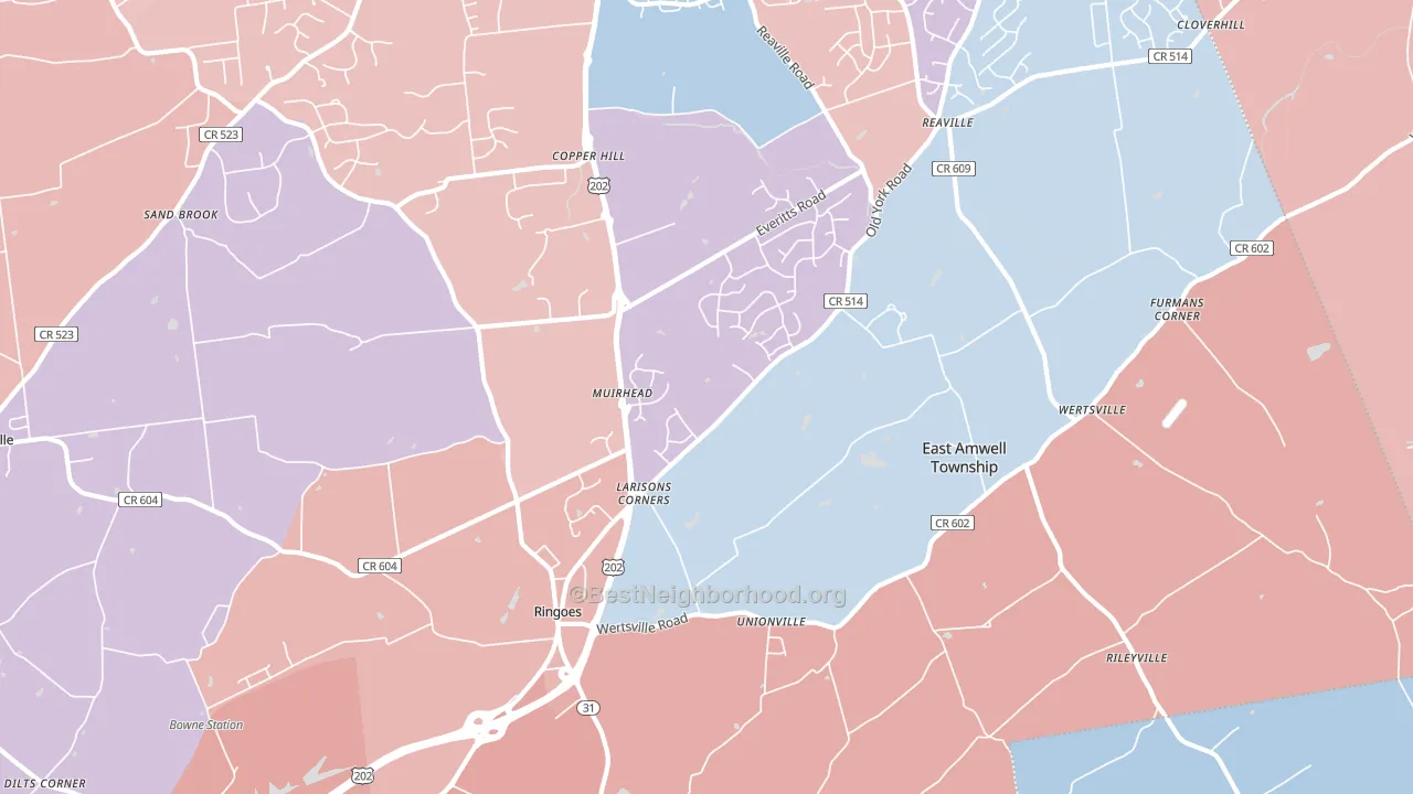 Ringoes, NJ block-group political-lean map