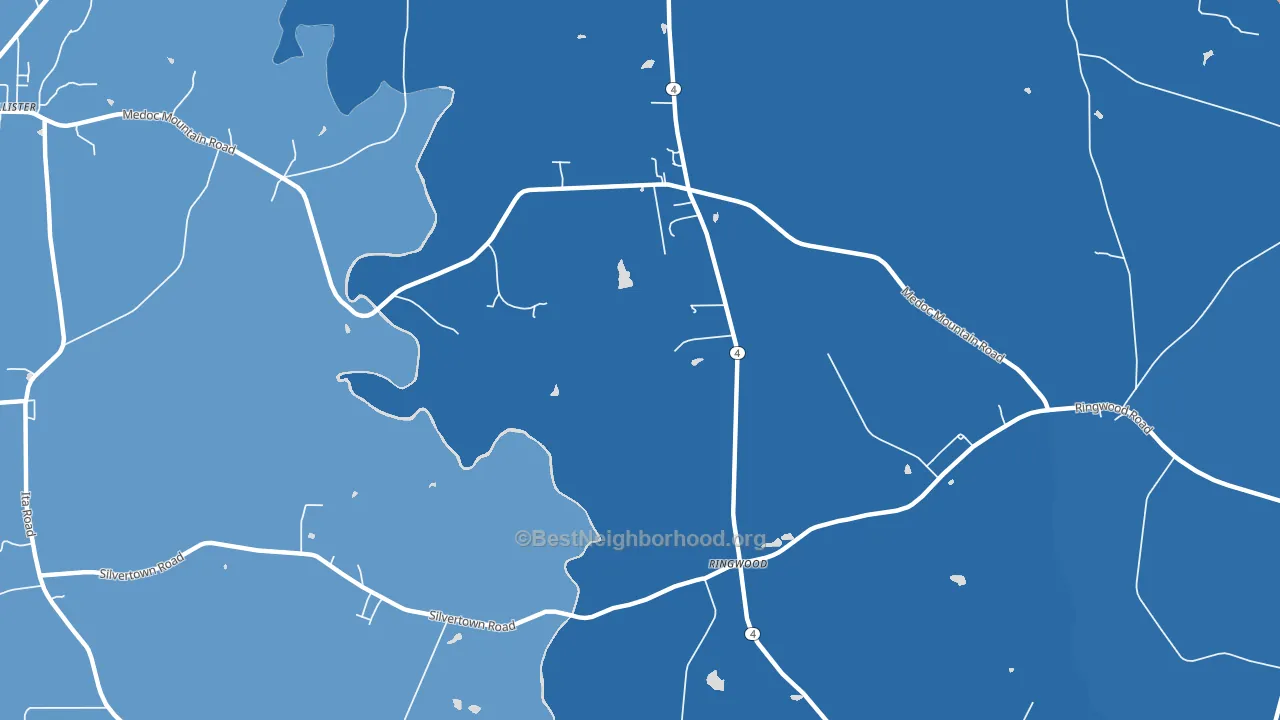 Ringwood, NC block-group political-lean map