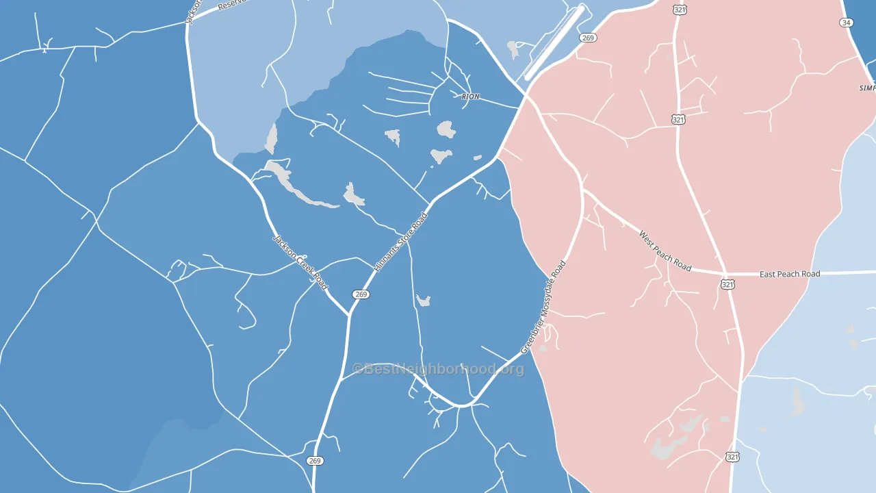 Rion, SC block-group political-lean map