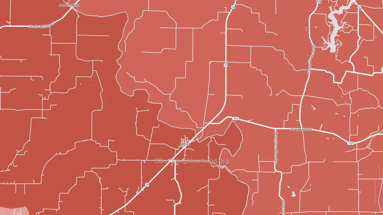 Ripley, IL block-group political-lean map