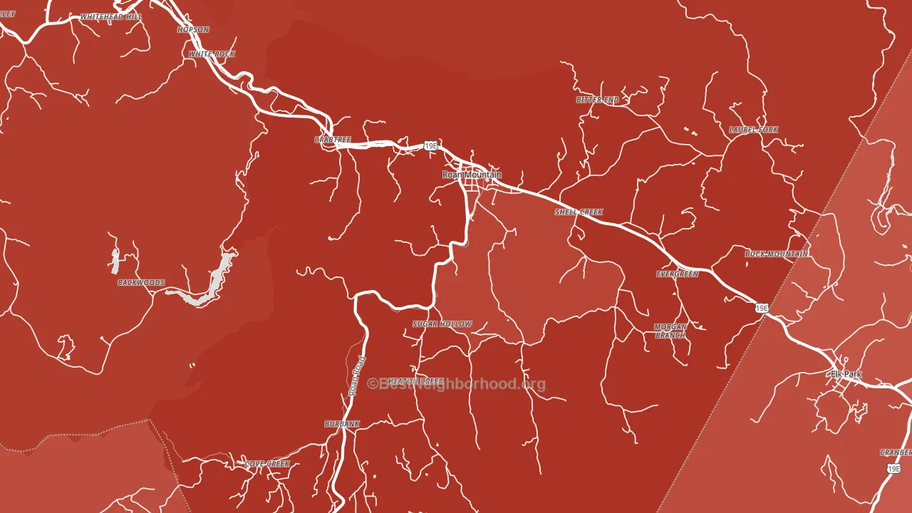 Roan Mountain, TN block-group political-lean map