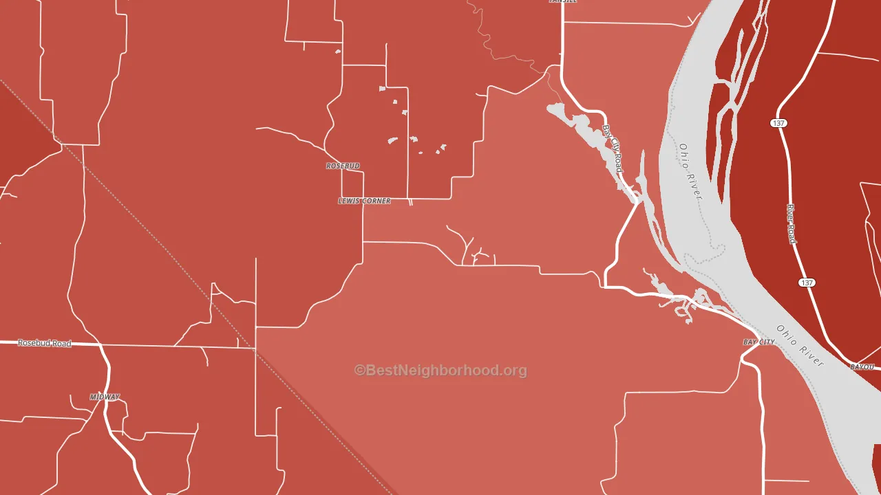 Rosebud, IL block-group political-lean map