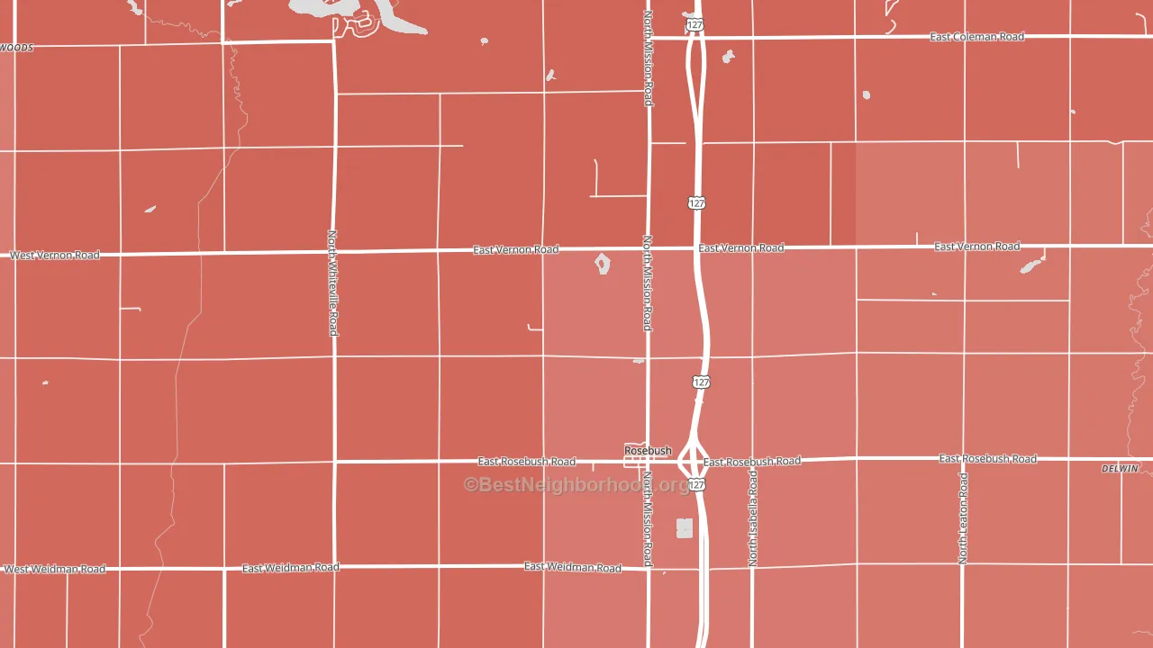 Rosebush, MI block-group political-lean map